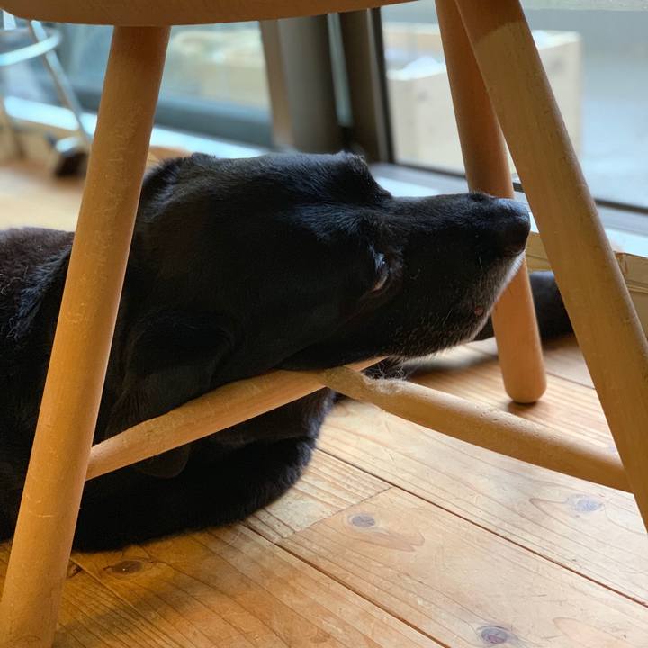 2dd91d09 5950 4cfa 8353 9d8cd2e0b314 1560984459850