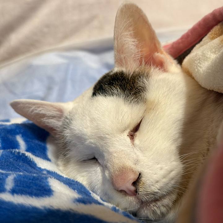 2dd92297 5dd8 4919 9166 f4227dd1824f 1769863635429