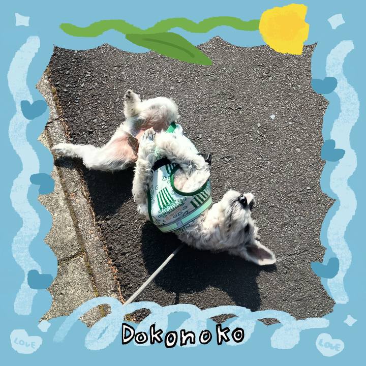 2dd92751 e335 4ddd af8e b962e42bb881 1771848284142