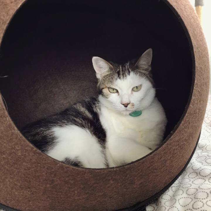 2dd9d2e8 9342 42d4 a3fc cb6f60935d5c 1588999421061