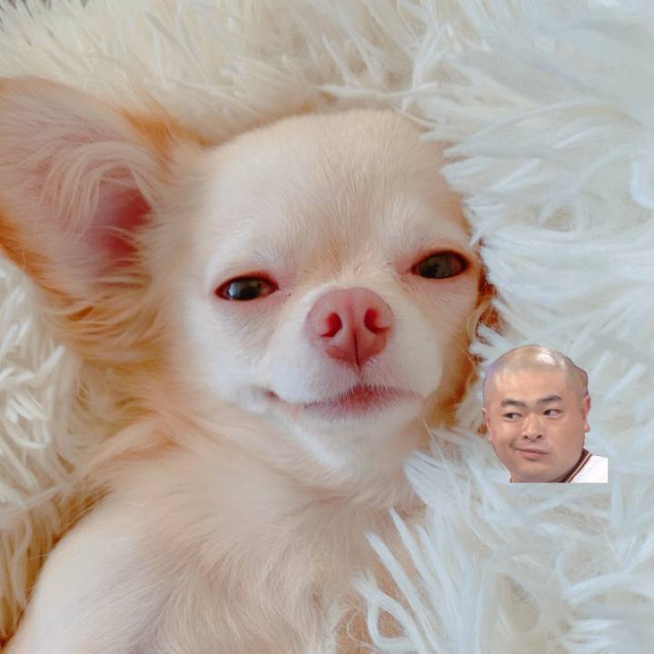 2dd9daeb 8bb8 4bf7 af6b 092c4adda1e9 1627106769407