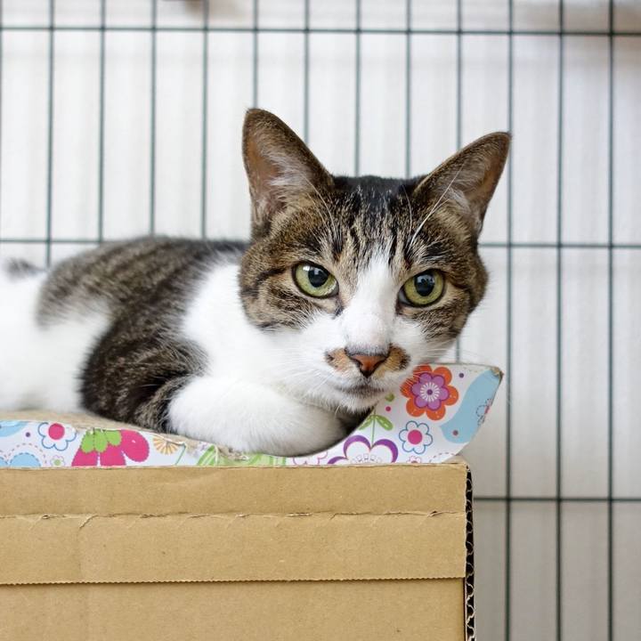 2dda02cc f3aa 4191 ab30 f9c2206fbb19 1763206736879