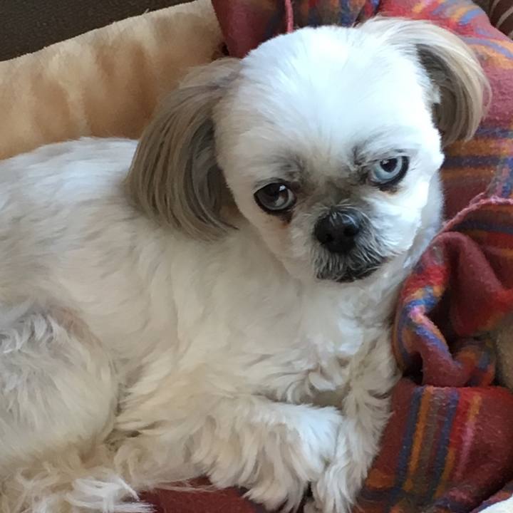 2dda0896 a08b 4e4f bdd1 fbed8f32bbc5 1554352140010