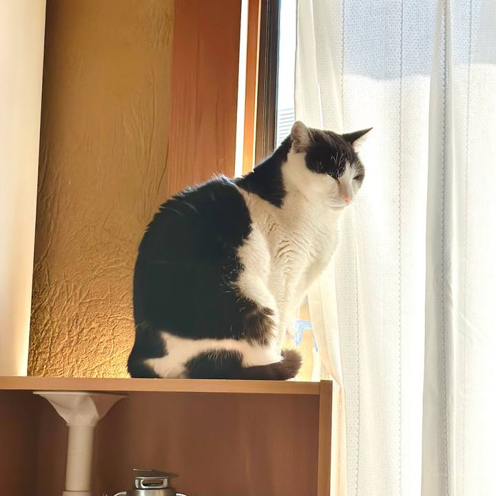 2dda0efe eabc 46b1 8fcf e7b7213e1b89 1675907906206