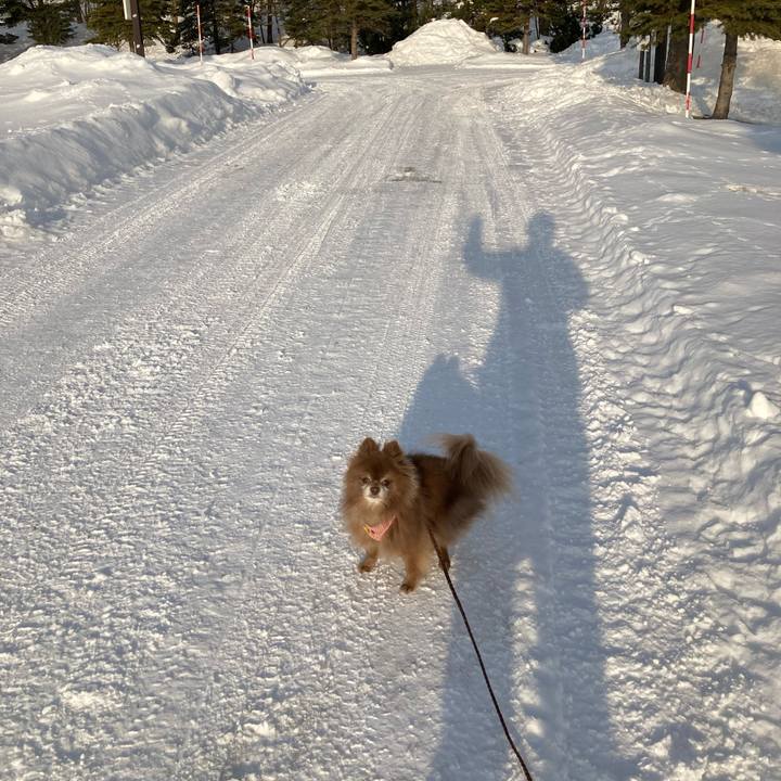 2dda1ba6 9dd0 4bcf ba23 95dc6b75898a 1644475332401