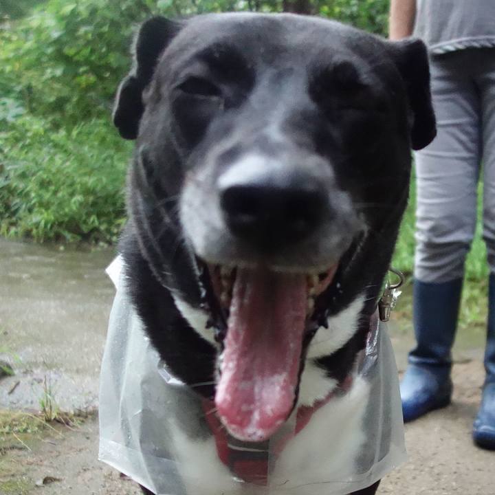 2dda22b8 99d3 4033 adac b791c99e7a58 1663976353543