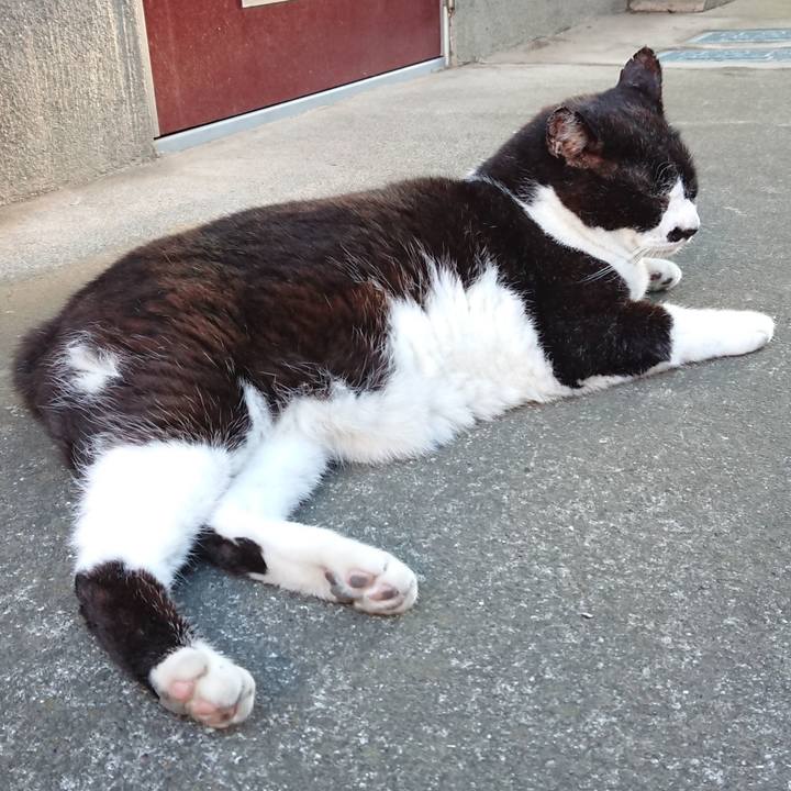 2dda2b23 fbcf 4082 a01d 3c55d62c7208 1658481173046