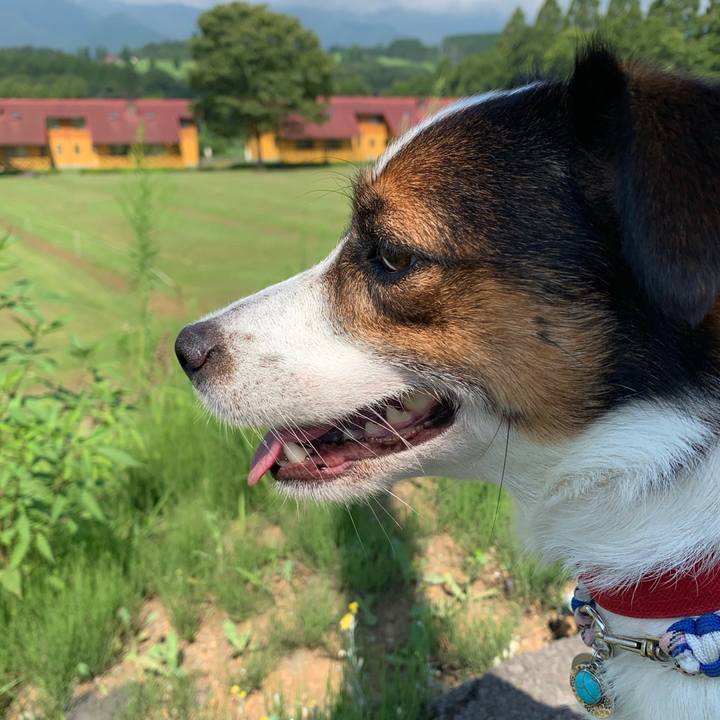 2dda2d13 bc4b 4bf2 93e3 b24a3c982625 1565419738867