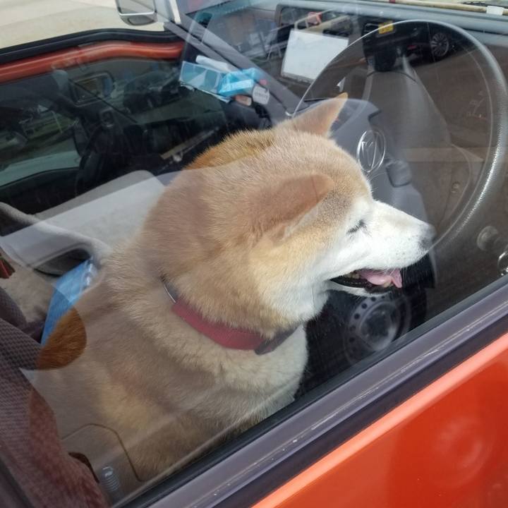 2dda3fc7 0bbc 4c04 b60c da2c75cc2cc2 1719901049675