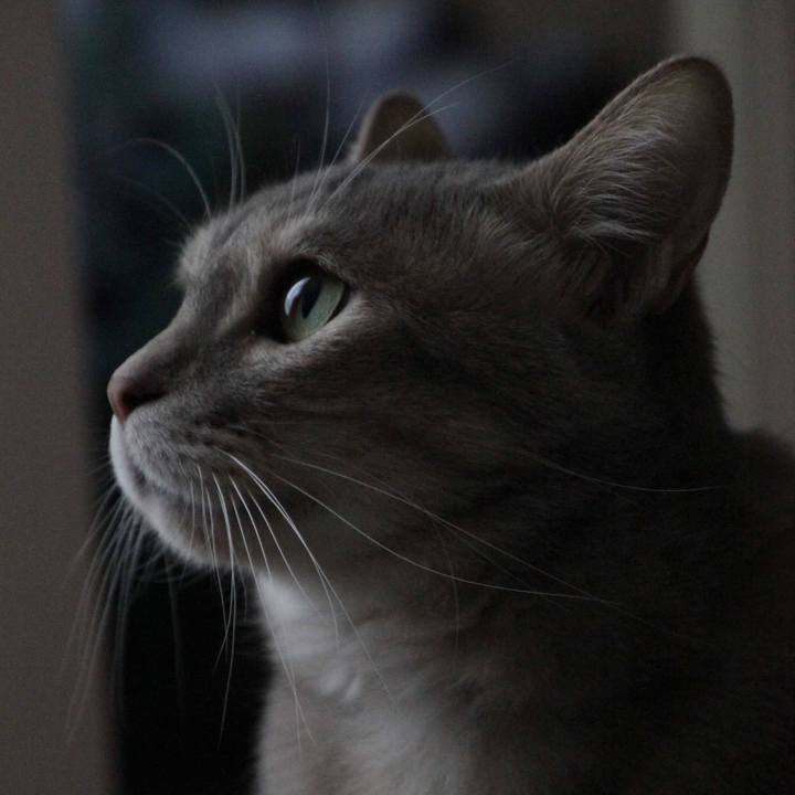 2dda43a1 b1e3 4bed 8f56 1864ec60652c 1586679211991