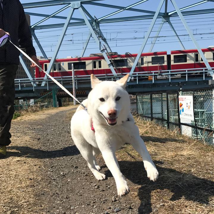 2dda4c37 6edf 4470 ab60 a22f6ff30aa1 1520136482267