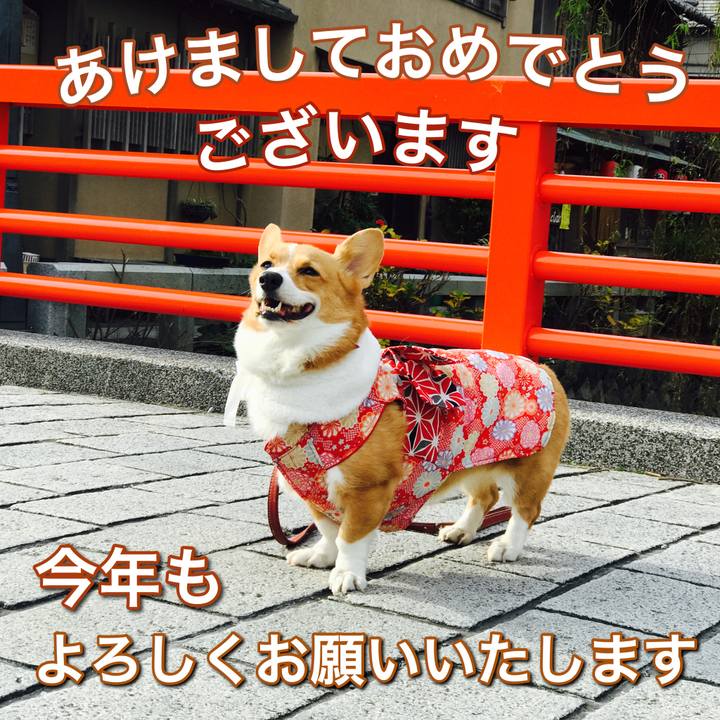 2dda9cbb b4e5 476a 8b35 b3e76f7eb856 1514768538534