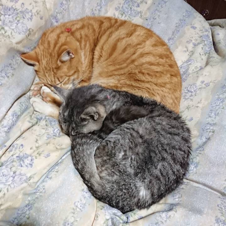 2ddaec81 e9c3 401e be9d 00badad59e5a 1579694397937