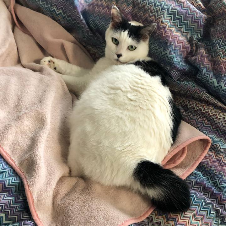 2ddaee1a 0621 4ba1 9ef5 304e5ab67028 1545261680256