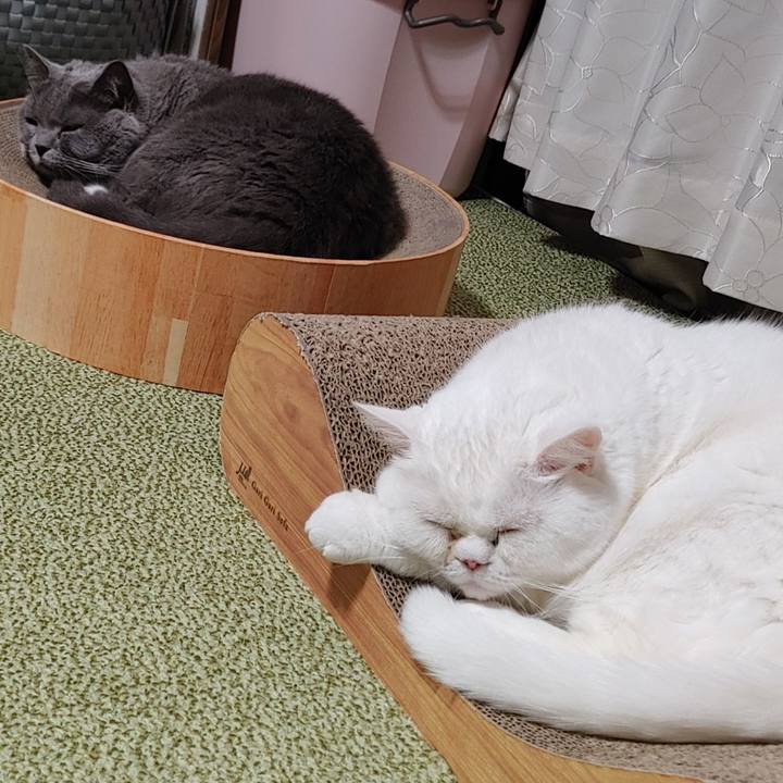 2ddb013f 7e3c 4dbf 8a6c 4dcf9a857a76 1648383536511