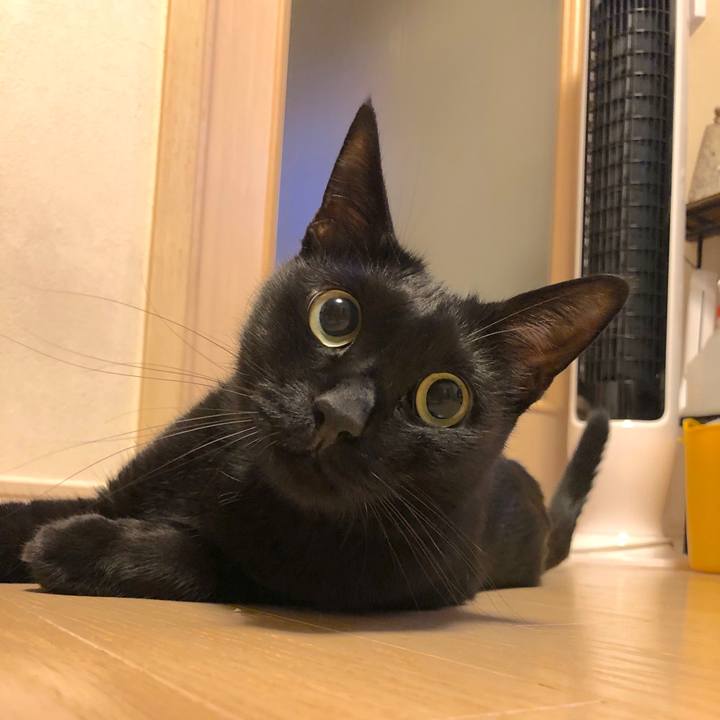 2ddb1206 698d 4f69 ba43 5eb677a97c4c 1537270425874