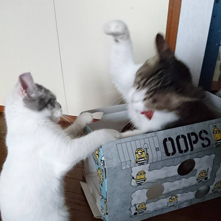 2ddb7611 0d81 439a 8285 1dcafcbaecc1 1532472238280