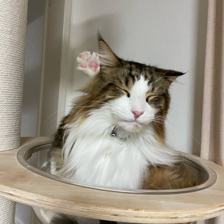 2ddb863c 625f 4e36 8cc2 9670593a68f3 1670191134270