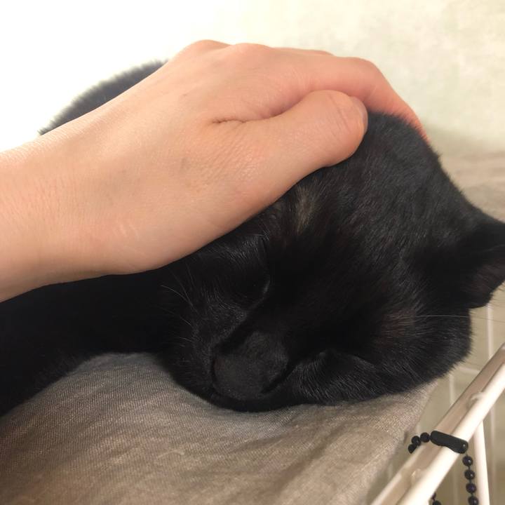 2ddb92e1 7561 4c14 bc46 f94e34391dd5 1561125526872