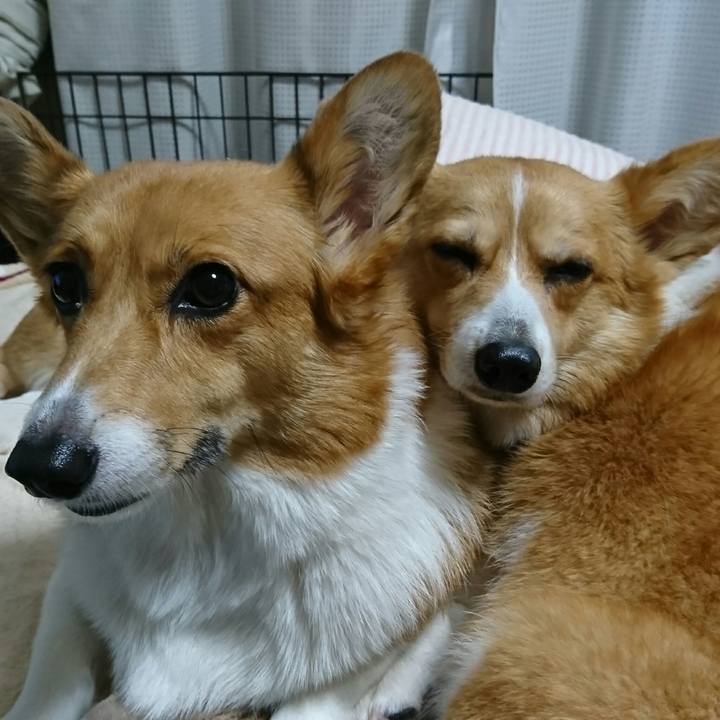 2ddbb061 8e04 4f7c b5af 96e7cf45ad86 1544439941695