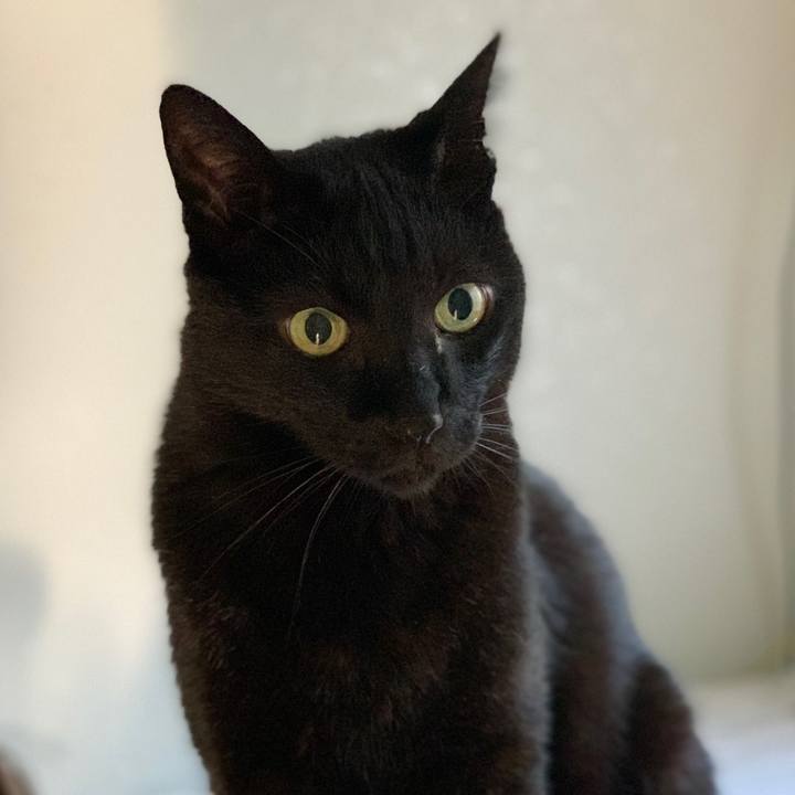 2ddbd6ef c7d4 40aa a646 cfb1e3468553 1592182724390