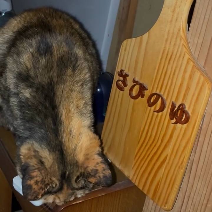 2ddbf634 3c62 4265 9b41 c1efe8108eca 1744836477968