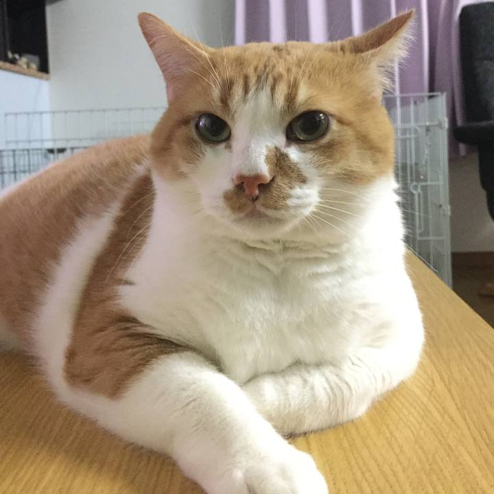 2ddc3daa 2b8c 4a7d ba04 fe3e15ab315c 1511099735551