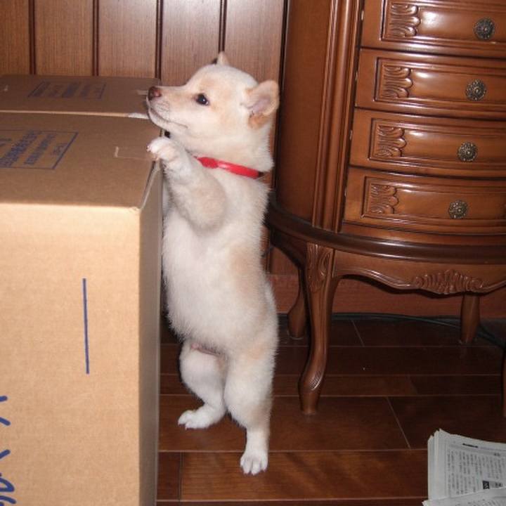 2ddc5239 db96 46dd a56d 63f5d7eb2f04 1675917755684