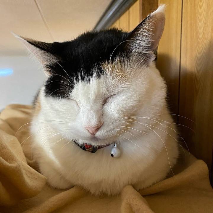 2ddc5796 6495 4e5a a7a0 59dd16fdf7dd 1666115642923