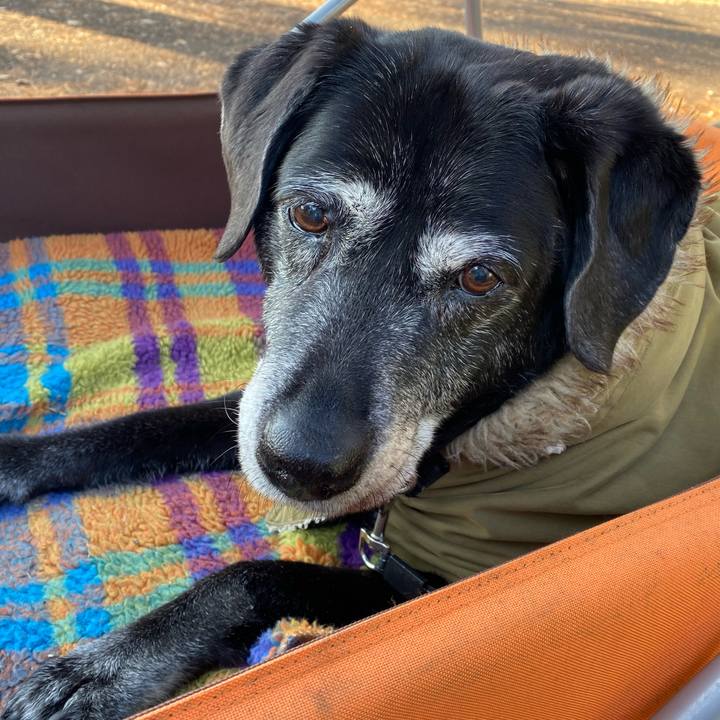 2ddc606b 9f88 4c6a 97d4 56e5427d5e4b 1758984813918