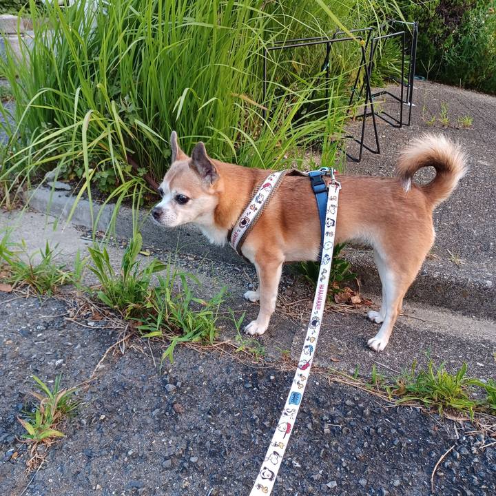 2ddc6147 6dda 4cbe 91d7 b32ed0be223b 1756331067228