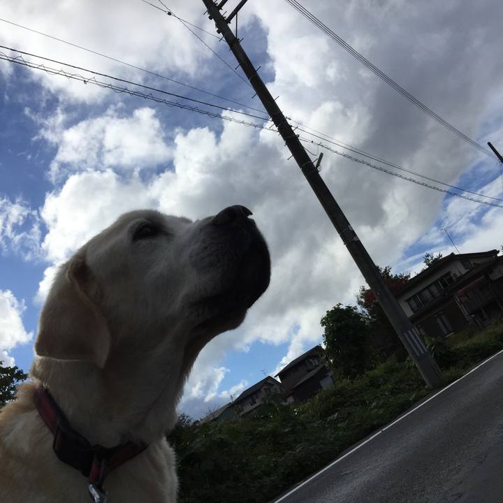 2ddc911c 89ab 452a a19b 54ef7b9bbae1 1548586199997