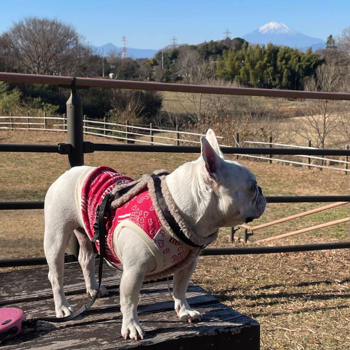 2ddca0e2 2375 4fd5 9e2e b1ed54180281 1735805090255