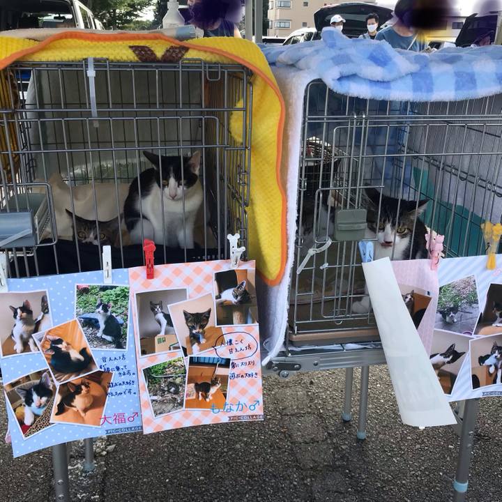 2ddcb403 52b8 4588 9503 16586426e243 1599378874652