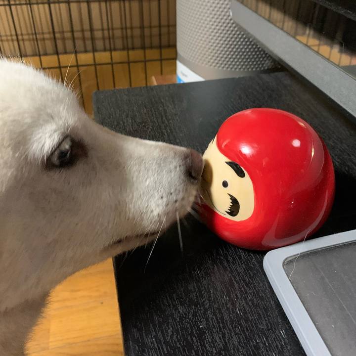 2ddccccd ef44 4dd5 99fa 2b70163aa3a3 1626687936791