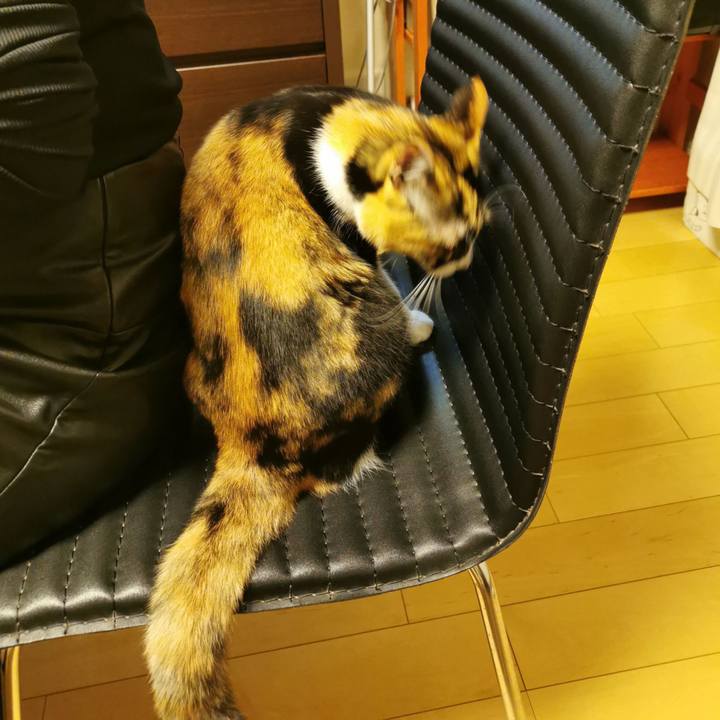 2ddccd21 d15a 425d ae5f 9b757ed92659 1668486449691