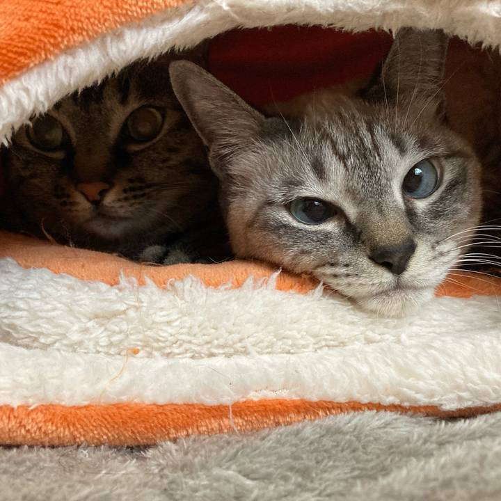 2ddcd566 b50d 4399 8bef 9e2de622da9c 1638667331915