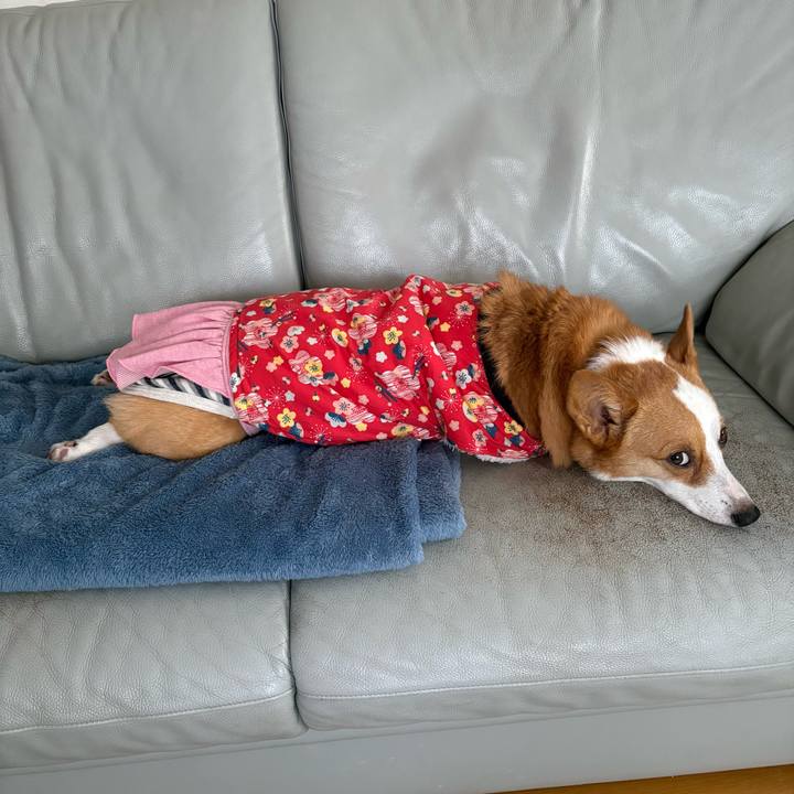 2ddcd6bc effa 4948 bbe4 f24ea4de69a4 1770940053547