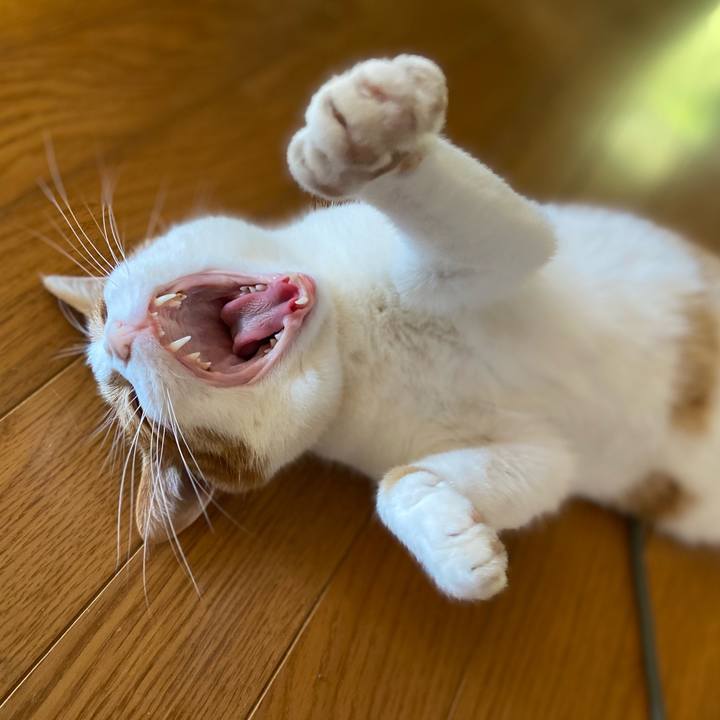 2ddd1f6f 3da2 404c 9034 9f4fef7f5fa9 1623313946111