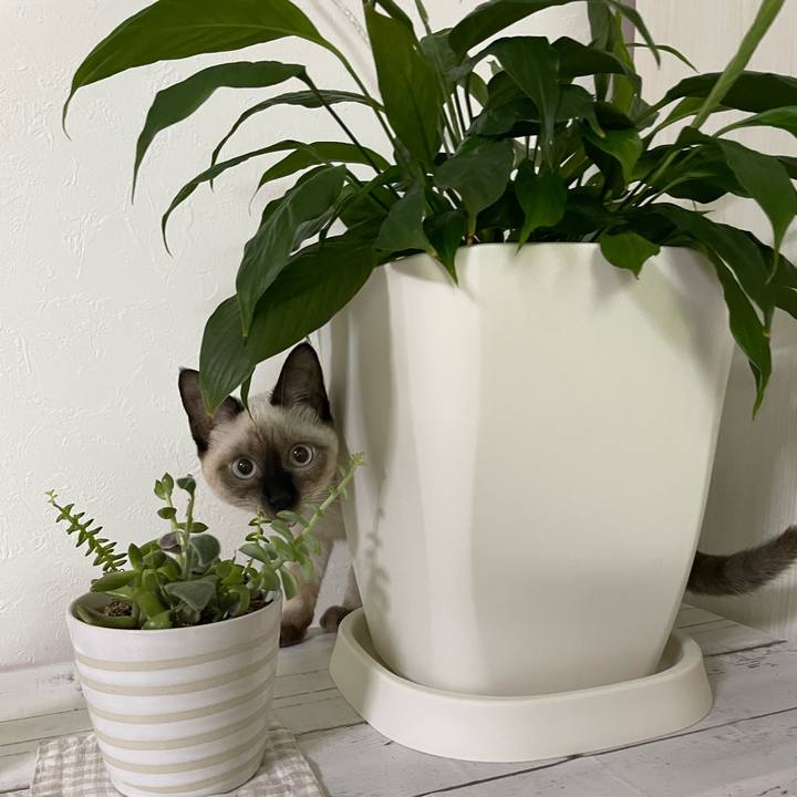 2ddd2a48 328f 4429 9222 d093b63ab60a 1696273720571