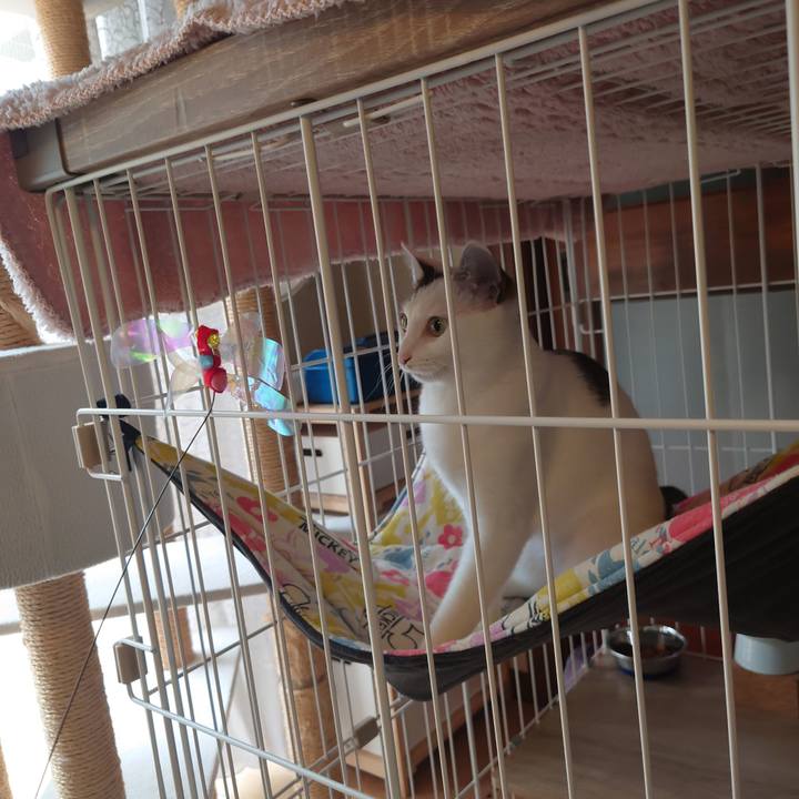 2ddda2c1 631f 4ce6 965e 53eb4f983ced 1695257150139