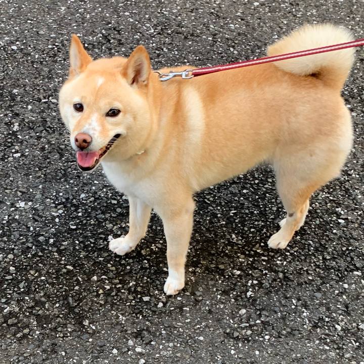 2ddda63a 80d0 41db b38d 3c961b760ce6 1626041890491