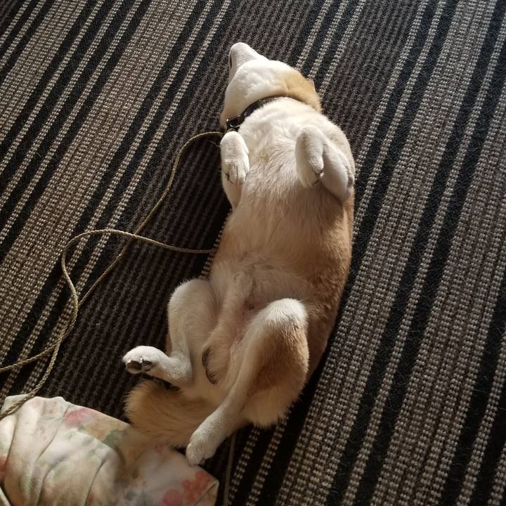 2dddb704 4755 4b61 b323 6740b86aaf4a 1693434991495