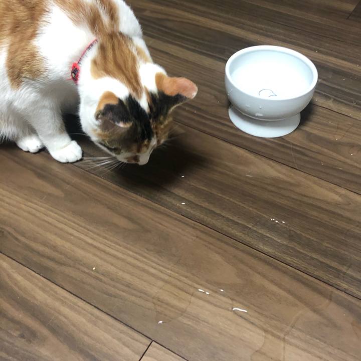 2dddc1a2 1788 474e b50f 441fc1d230a8 1579876380736