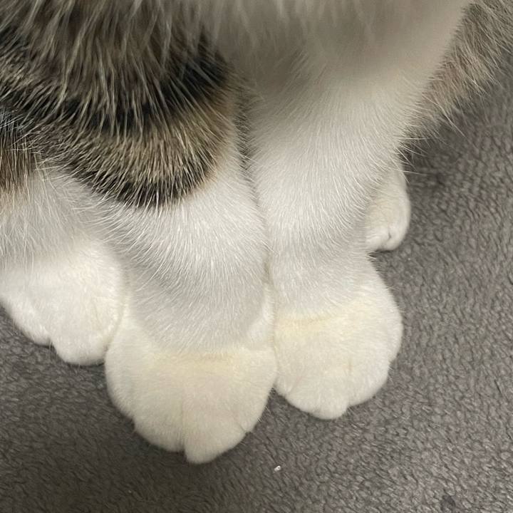 2dde16bc fba4 4d3c bc51 46c0f9a069d7 1733250432869