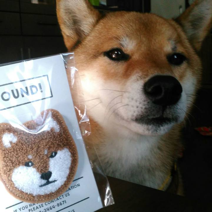 2dde4457 cd2c 4e62 9417 4c6586c9e6d5 1511055896174