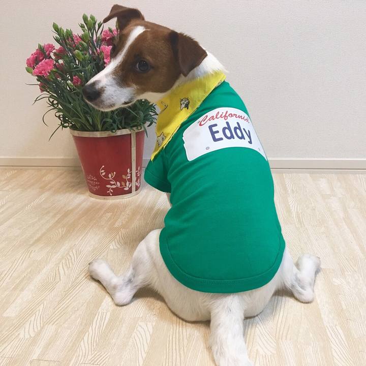 2dde58d5 2c13 4676 aec0 56467177c772 1526076431741