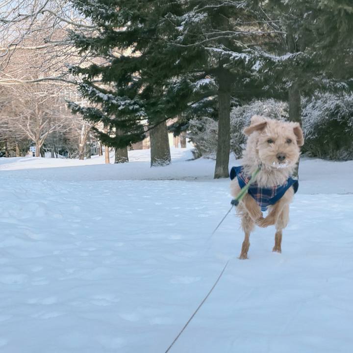 2dde6df0 9404 4c88 8f54 523ca6b6ca03 1614037127504