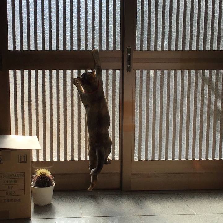 2dde7aa8 5487 49fa a781 6b9fdcfcedaf 1612232636710