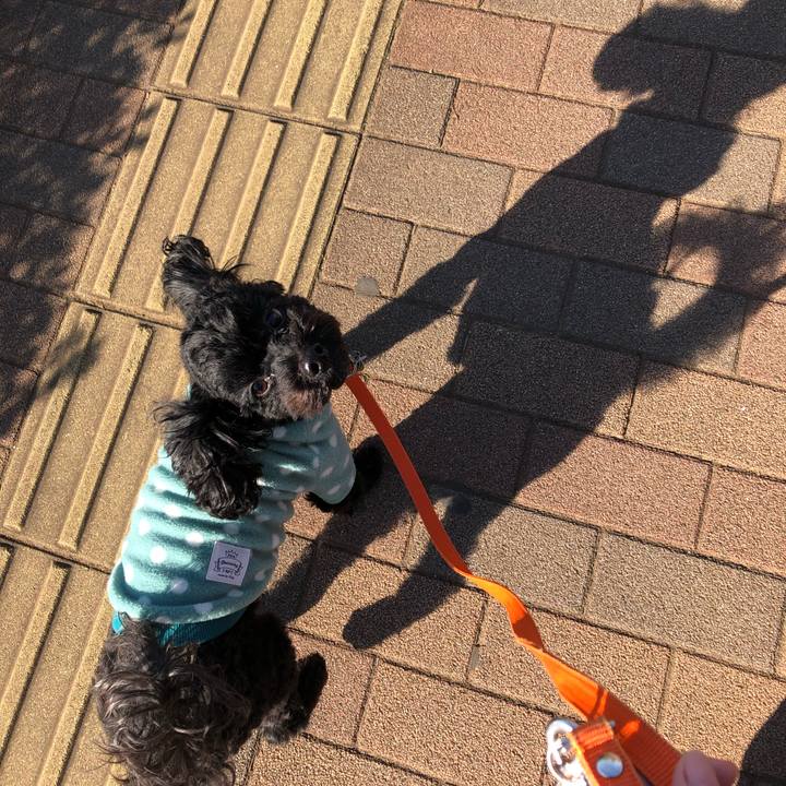 2dde8a55 5c2a 4170 b198 879420acac50 1581041867754